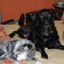 Susan Kendrick Photo 46