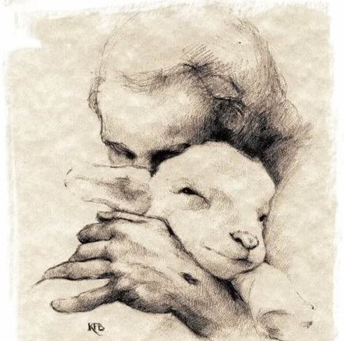 Timothy Brophy Photo 26