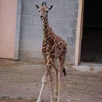 Deborah Darby Photo 13