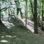 Michael Olin Photo 10