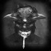 Edgar Poe Photo 35