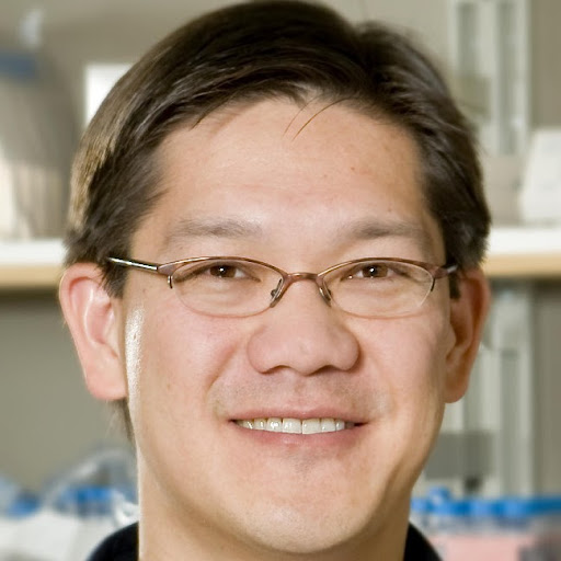 Thomas Wong Photo 30 Thomas Wong Photo 30