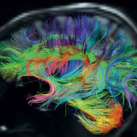 Christine Peng Photo 19