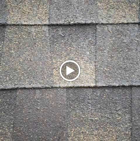 Curtis Richards Photo 31