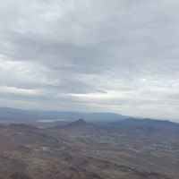 Joyce Lyons Photo 32