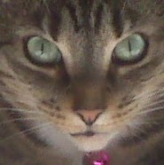 Judith Kerr Photo 14