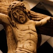 Joel Moore Photo 19 Joel Moore Photo 19