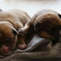 Richard Stone Photo 20 Richard Stone Photo 20