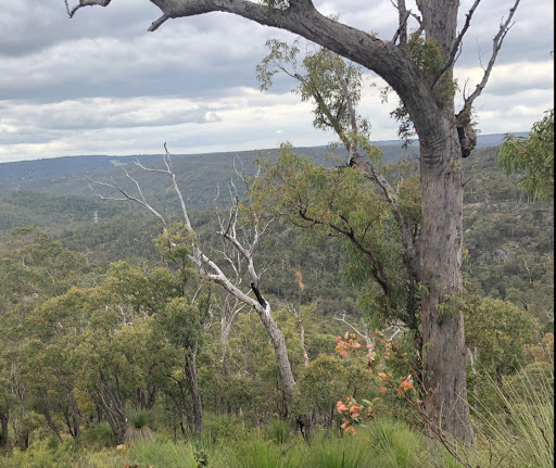 Jared Newman Photo 11