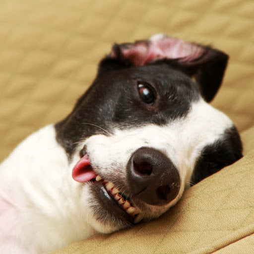 Erica Brown Photo 37 Erica Brown Photo 37