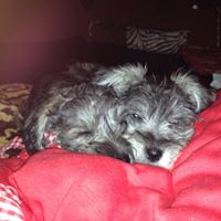 Karin Whitten Photo 3