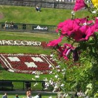 Mike Shepherd Photo 10