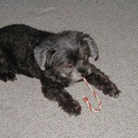 Carol Rector Photo 20