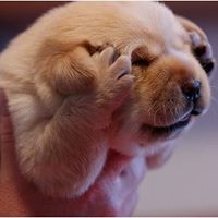 Elizabeth Thurman Photo 6