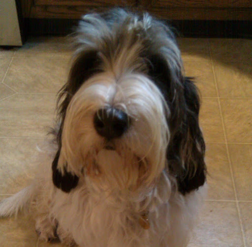 Elizabeth Mccormack Photo 9