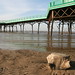 Anne Woods Photo 9
