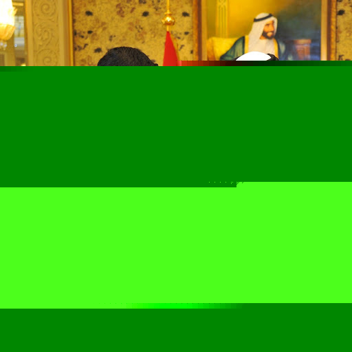 Hassan Mohammad Photo 39