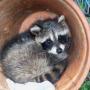 Kathy Covert Photo 21