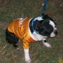 Elizabeth Hutchens Photo 9