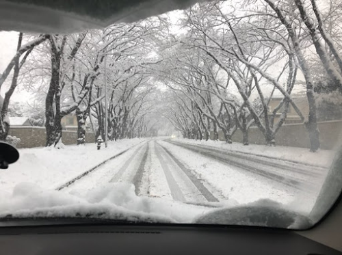 Corey Hodges Photo 16