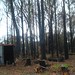 Kevin Coombs Photo 21