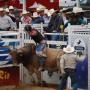 Bill Wall Photo 40