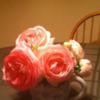 Kathleen Mccarroll Photo 14
