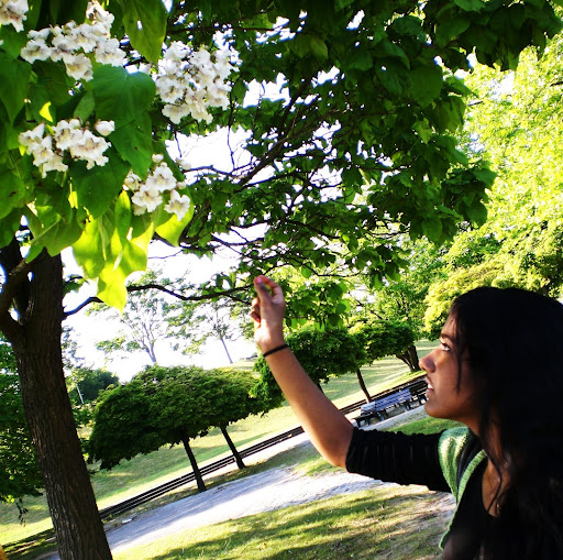 Annie Mathew Photo 23 Annie Mathew Photo 23