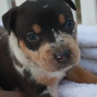 Alyssa Clements Photo 14