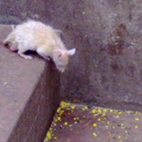 Jill Winslow Photo 25