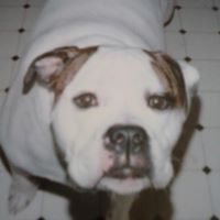 Tracy Gauthier Photo 5