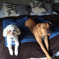 Beth Armstrong Photo 39