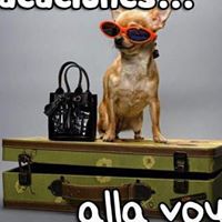 Francisca Rodriguez Photo 14