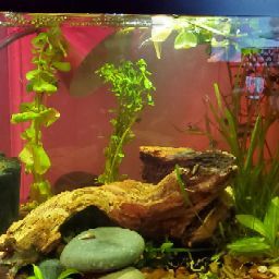 Kevin Triplett Photo 20