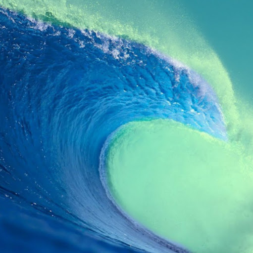 Suzanne Bennett Photo 27