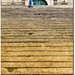 Pat Duarte Photo 14