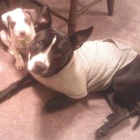 Cindy Siebert Photo 21