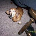 Joan Sherman Photo 28 Joan Sherman Photo 28