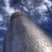Philip Erickson Photo 14
