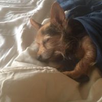 Sue Vazquez Photo 20