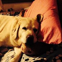 Diane Tidwell Photo 26