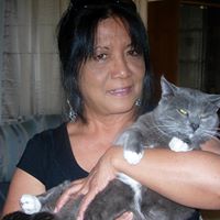 Cheryl Pringle Photo 15