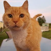 Geneva Pruitt Photo 8