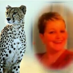 Kathy Kelly Photo 16