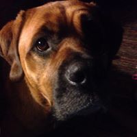 Ginger Webster Photo 9