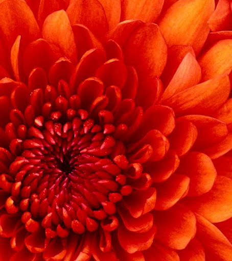 Robbie Dawson Photo 11