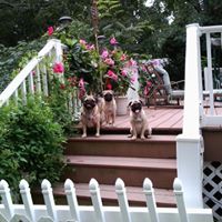 Gloria Banks Photo 9