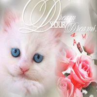 Margaret Gregg Photo 11