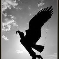 Andres Martin Photo 19