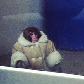 Steven Noonan Photo 15